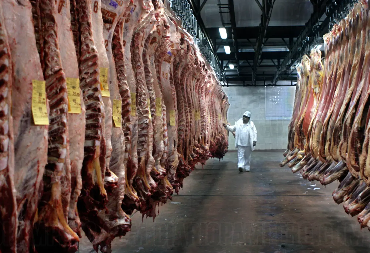 carne