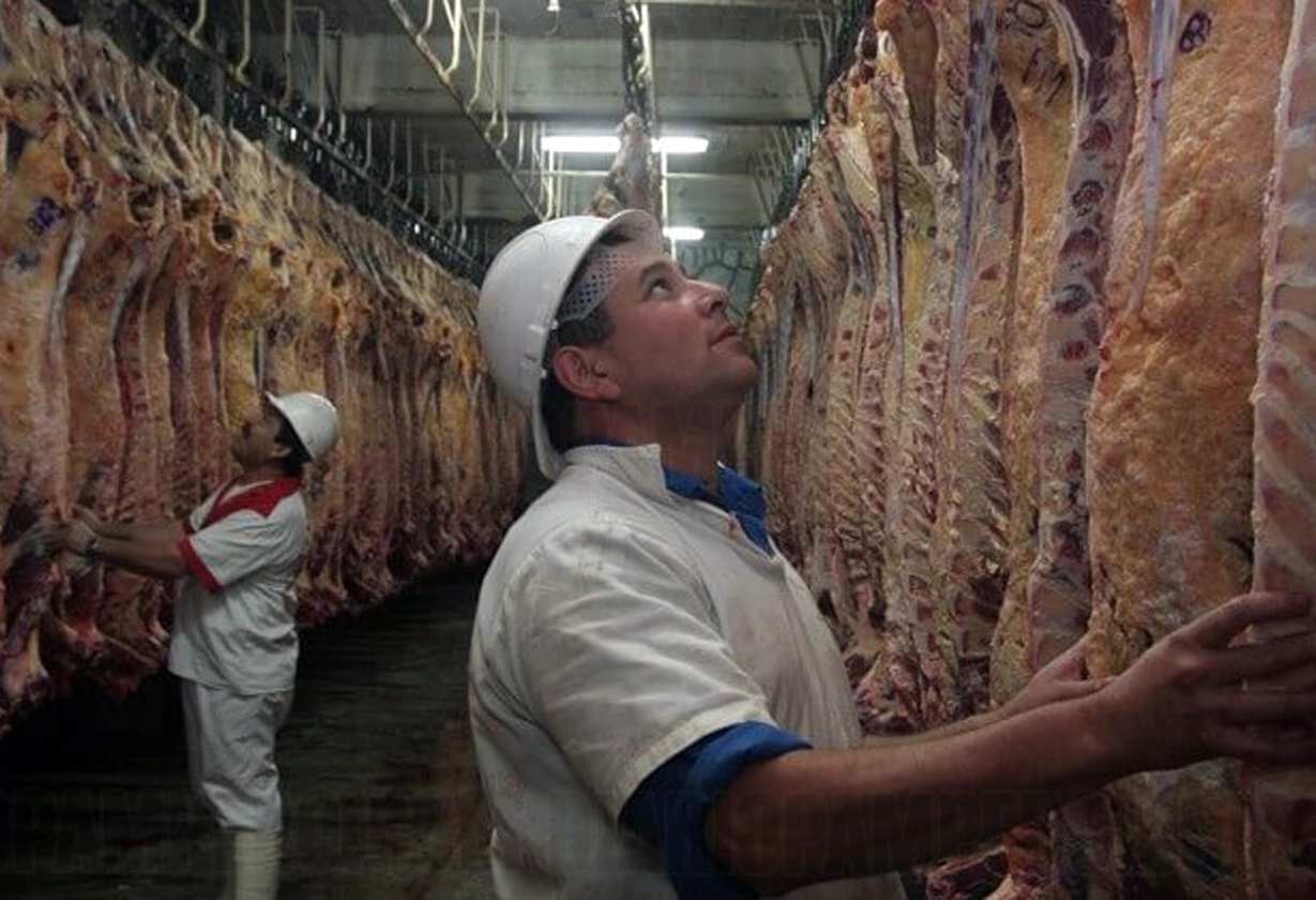 carne_paritaria