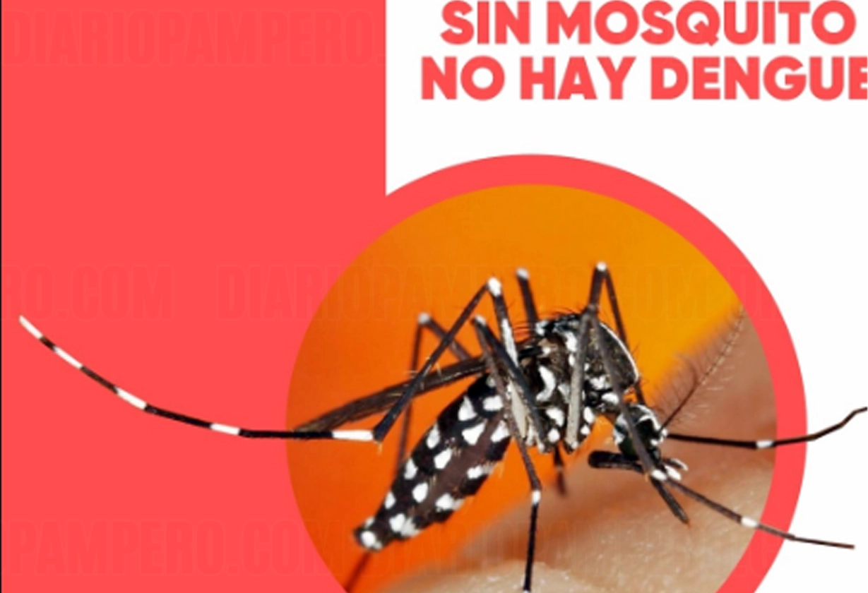 dengue_13_02