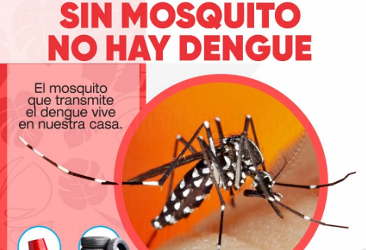dengue_20_3