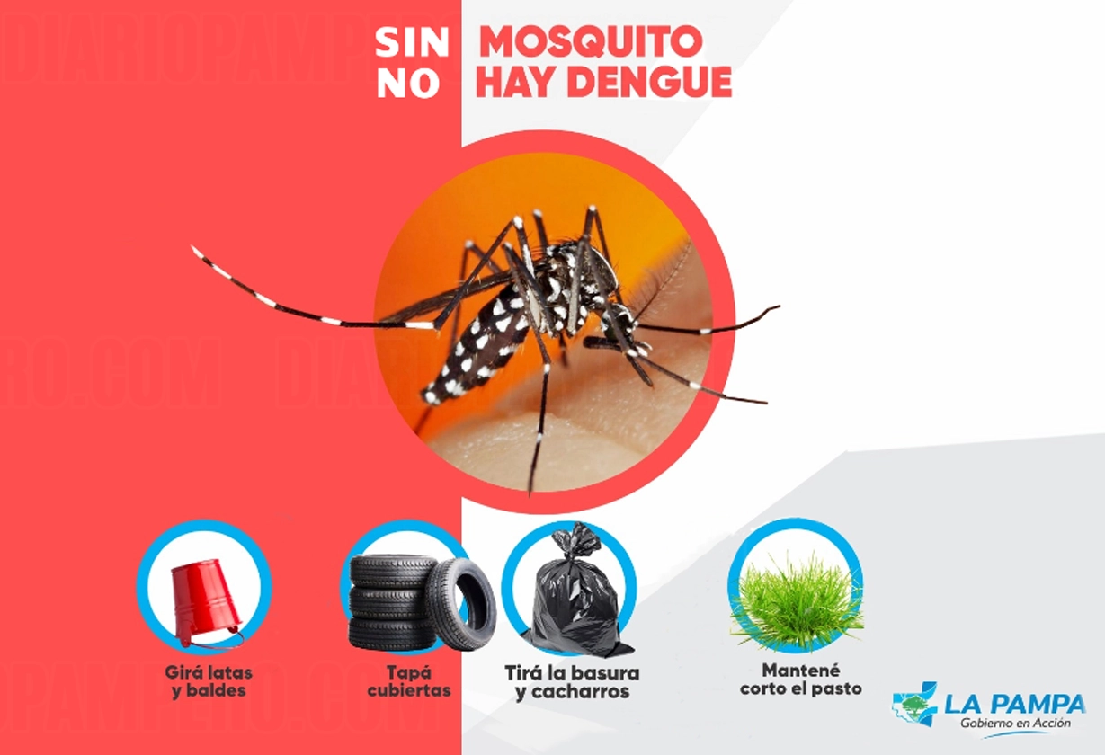 dengue_26_3