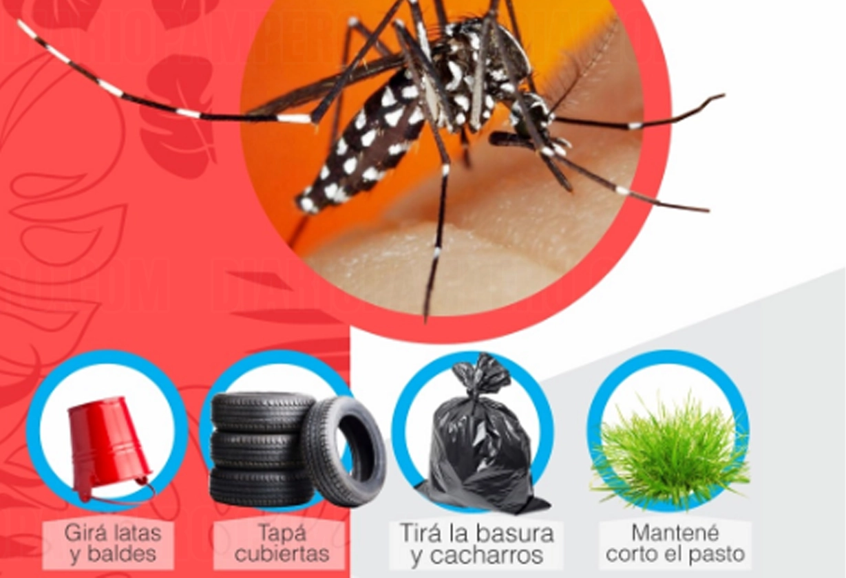 dengue_5_3