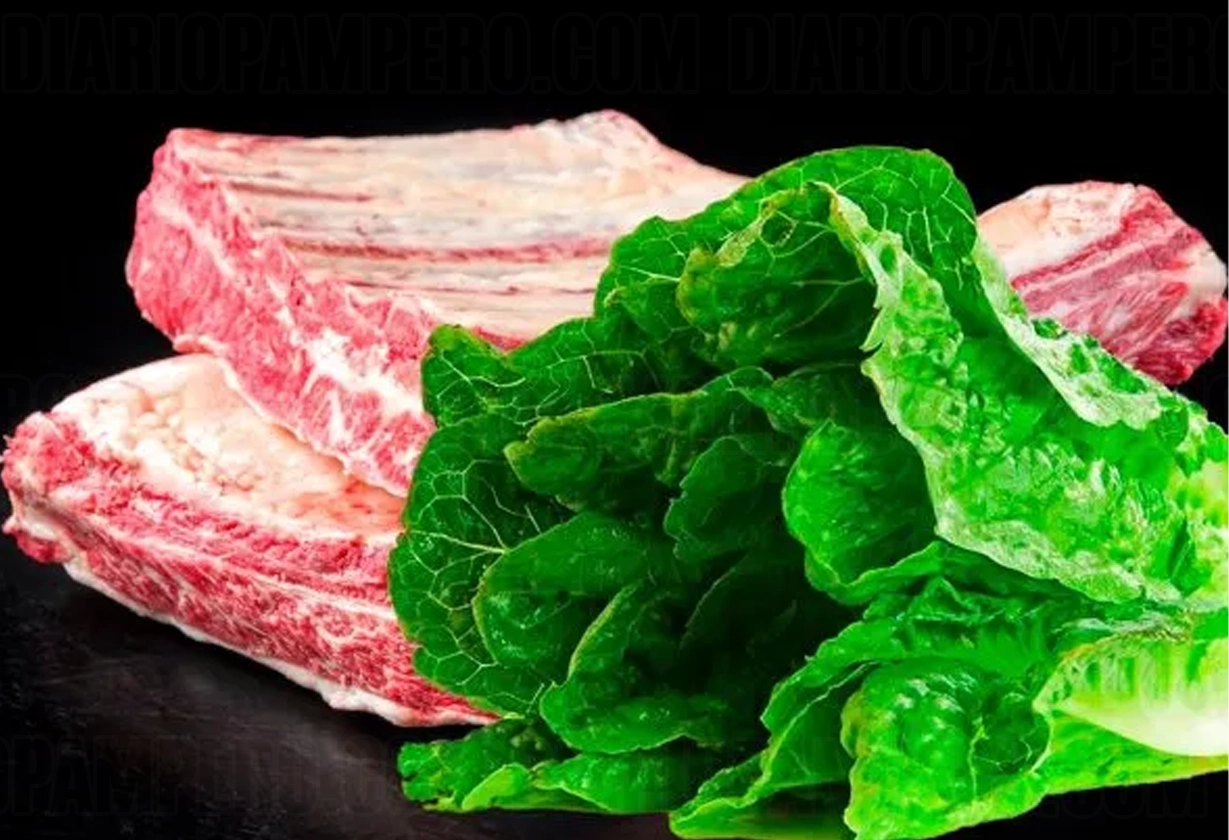 lechuga