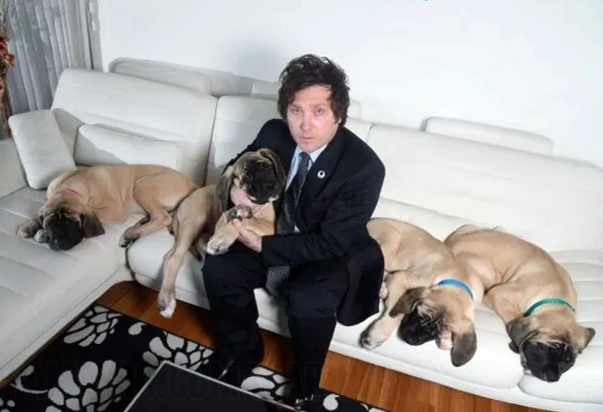 perros