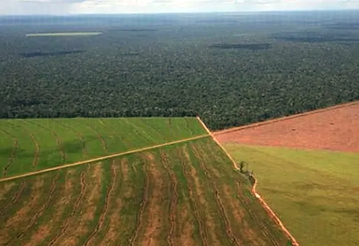 tierras