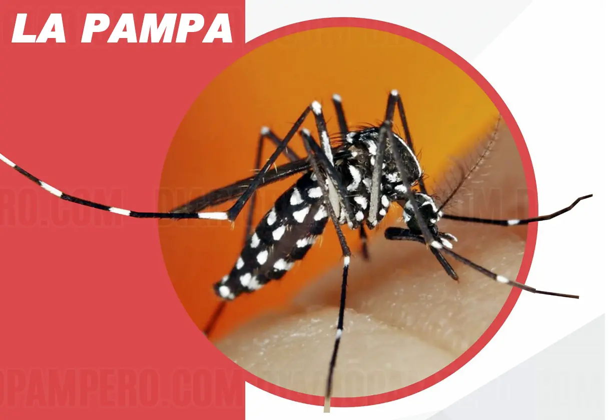 DENGUE_0904
