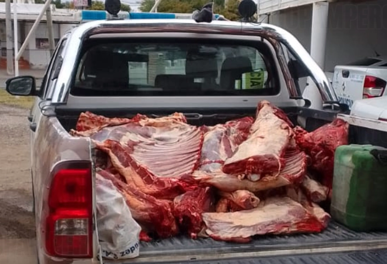 carne1