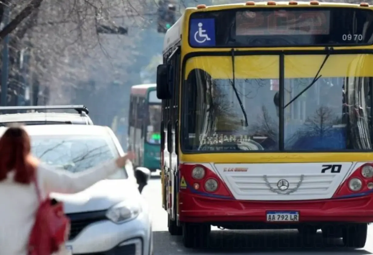 colectivos