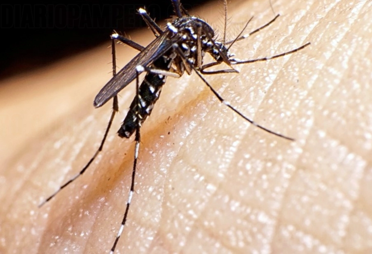dengue_10_4