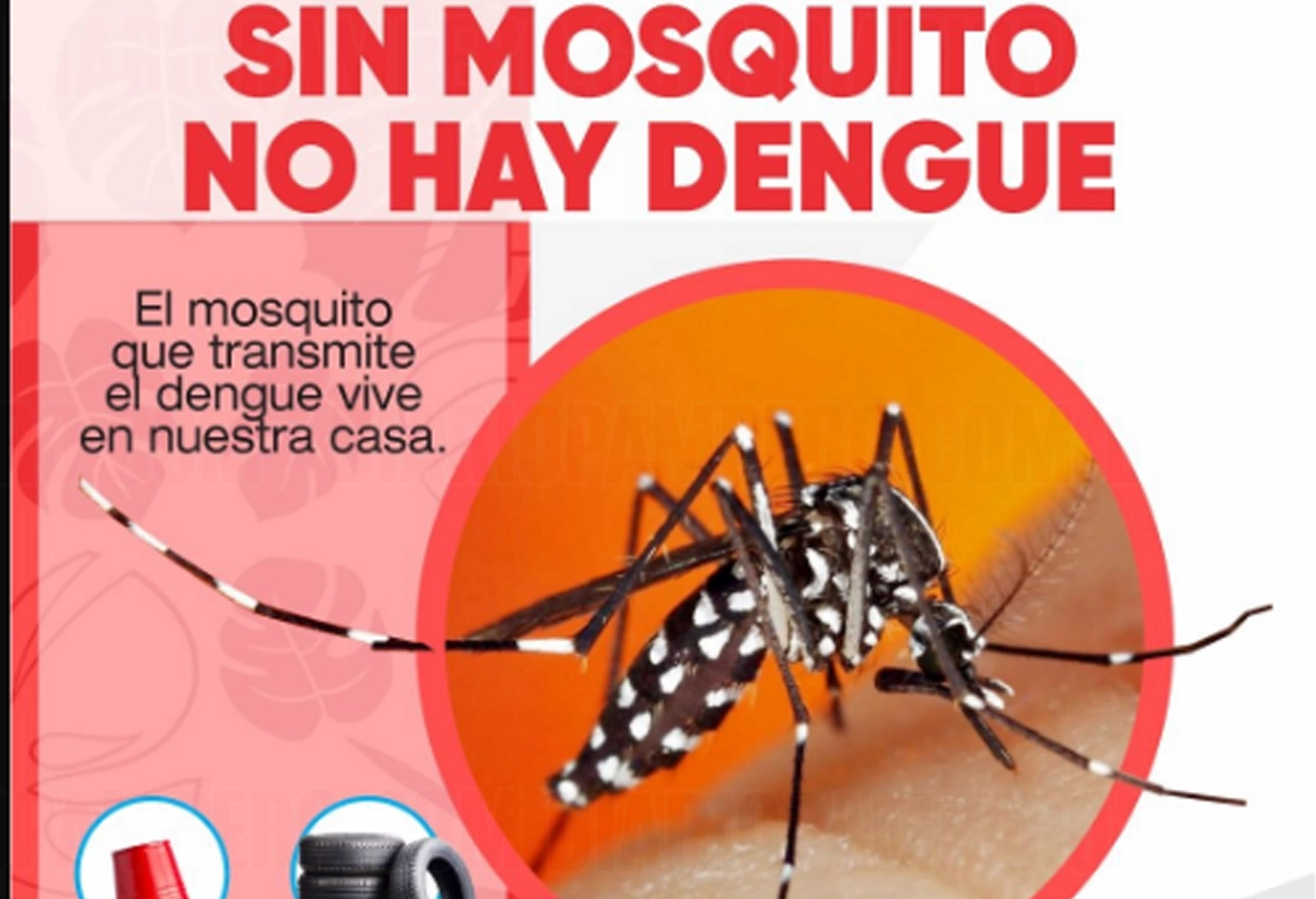 dengue_2_4