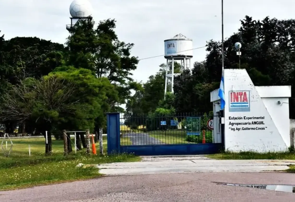 inta