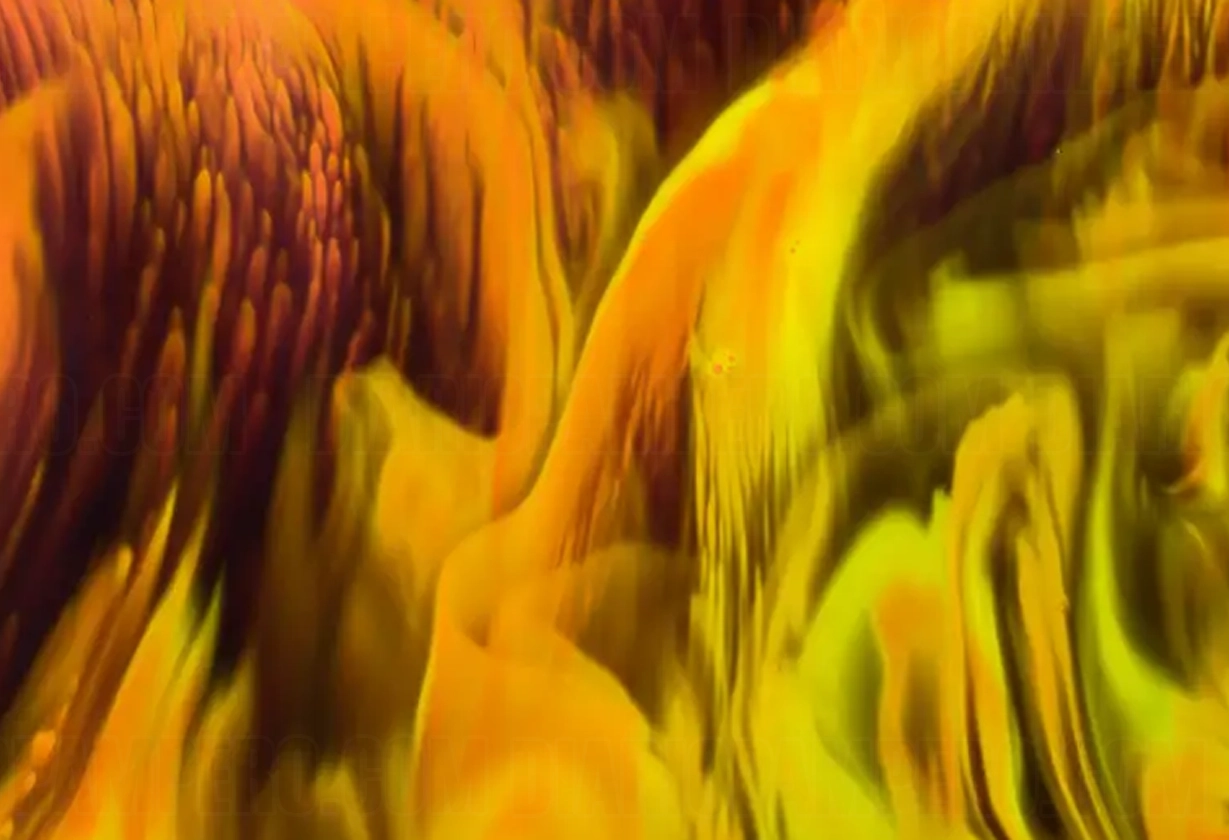 liquido