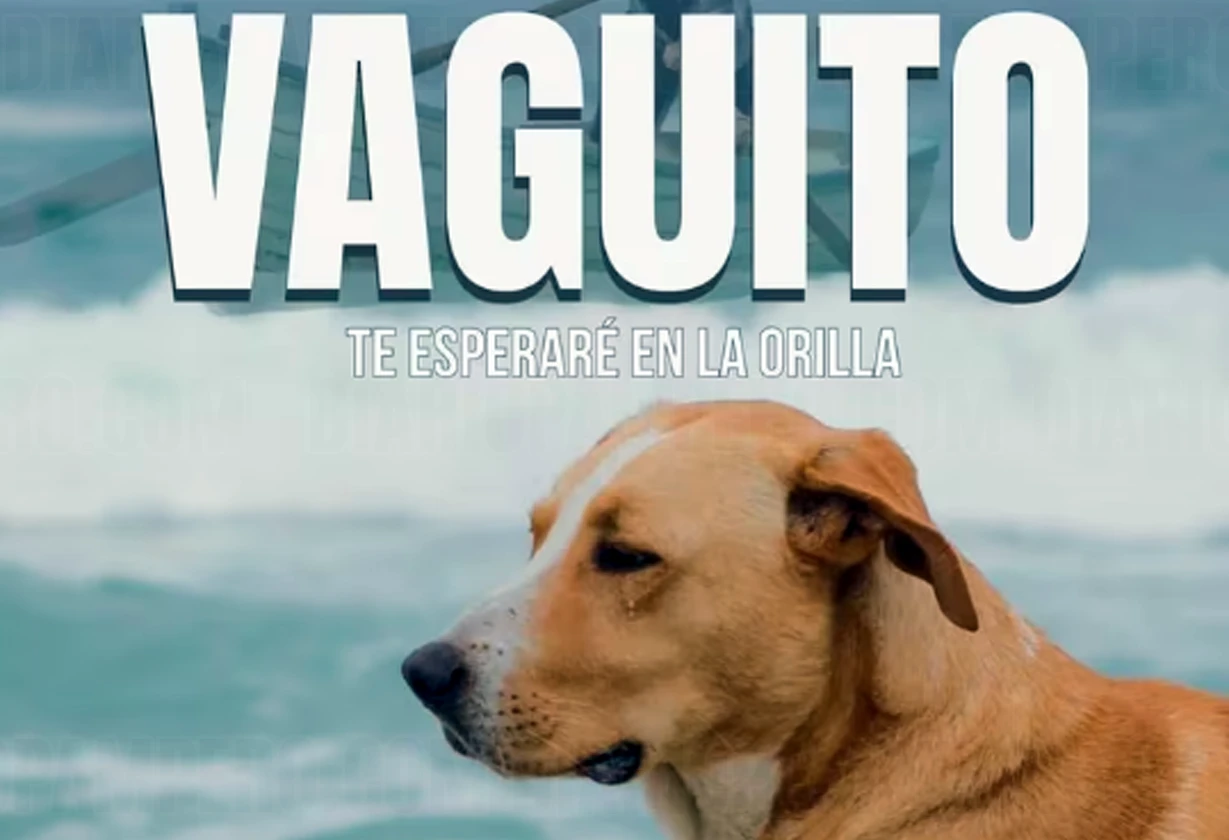 vaguito