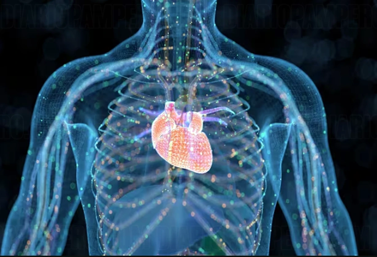 cardiaca