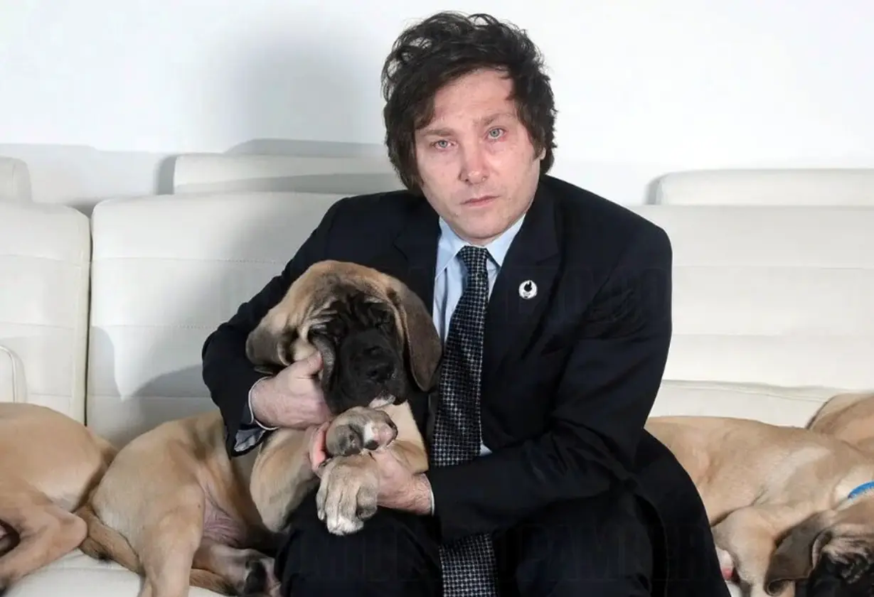 perros