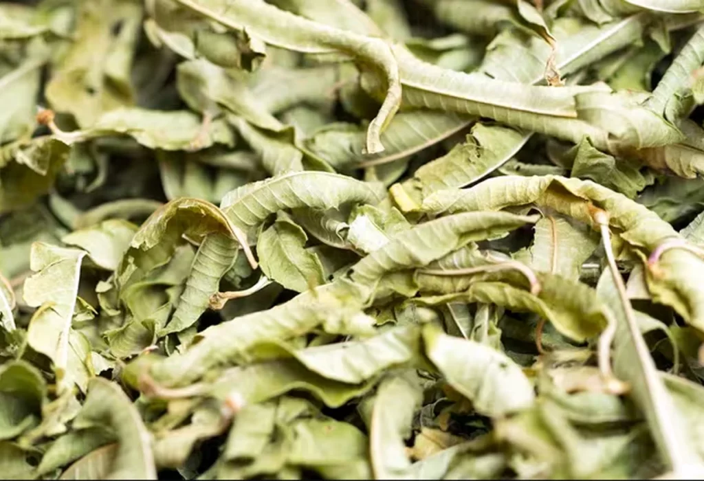 El poderoso té que mejora la digestión y ayuda a controlar el estrés