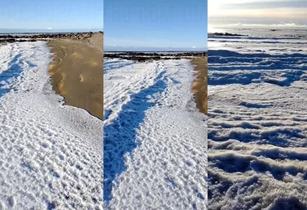 Tierra del Fuego: Mar congelado por intensa helada