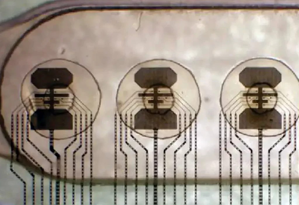 Conectan 16 minicerebros humanos para crear «ordenador vivo»