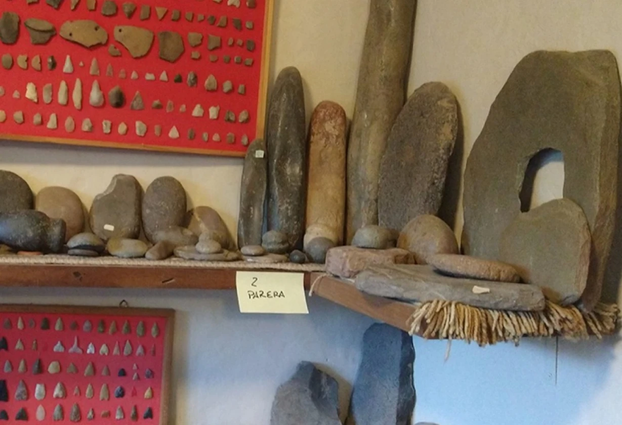 patrimonio