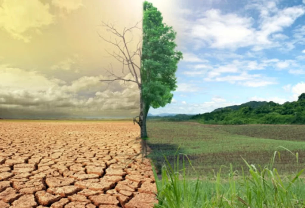 Día Mundial de Lucha contra la Desertificación y la Sequía