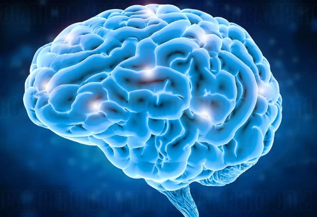 Día Mundial del Cerebro: La Importancia de su Cuidado Preventivo
