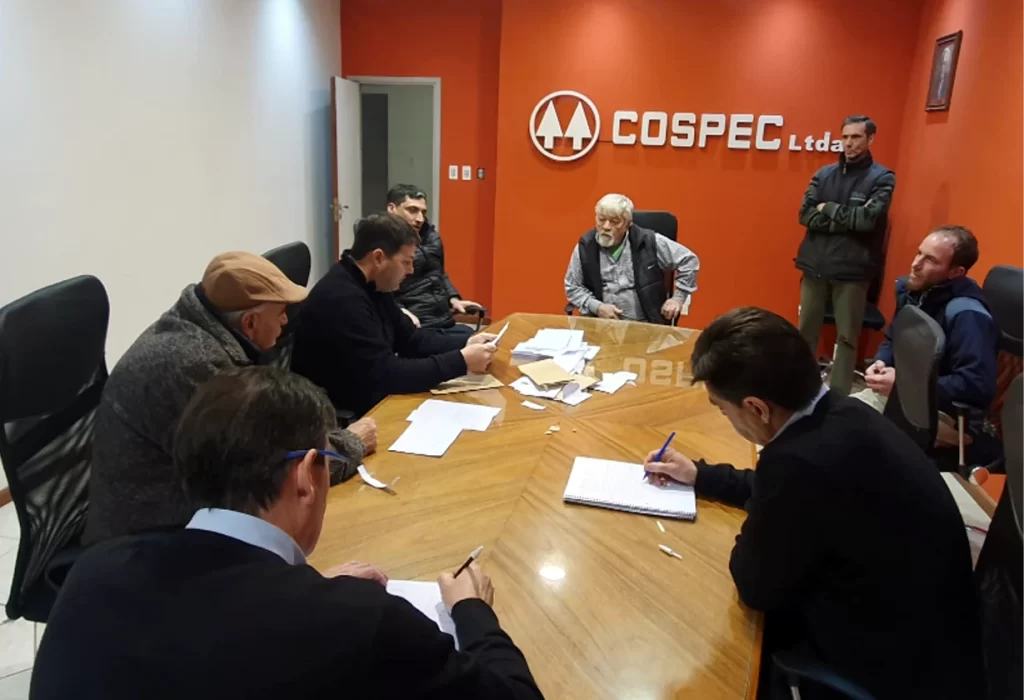 Diez Propuestas para Adquirir Camioneta Usada de Cospec Ltda
