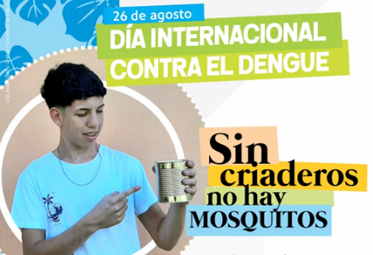 dengue1