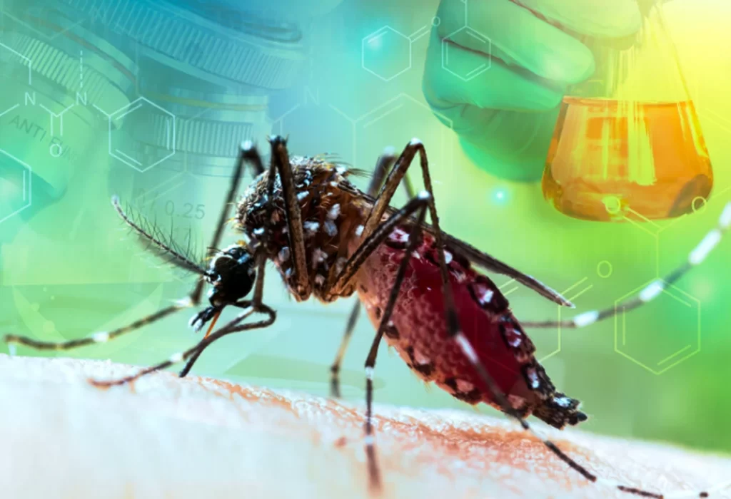 Mutación Genética en Mosquitos del Dengue que Aumenta su Resistencia a Insecticidas