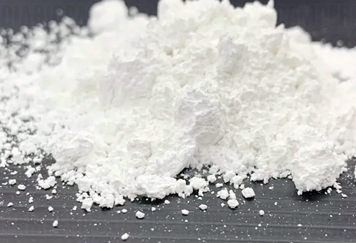 polvo