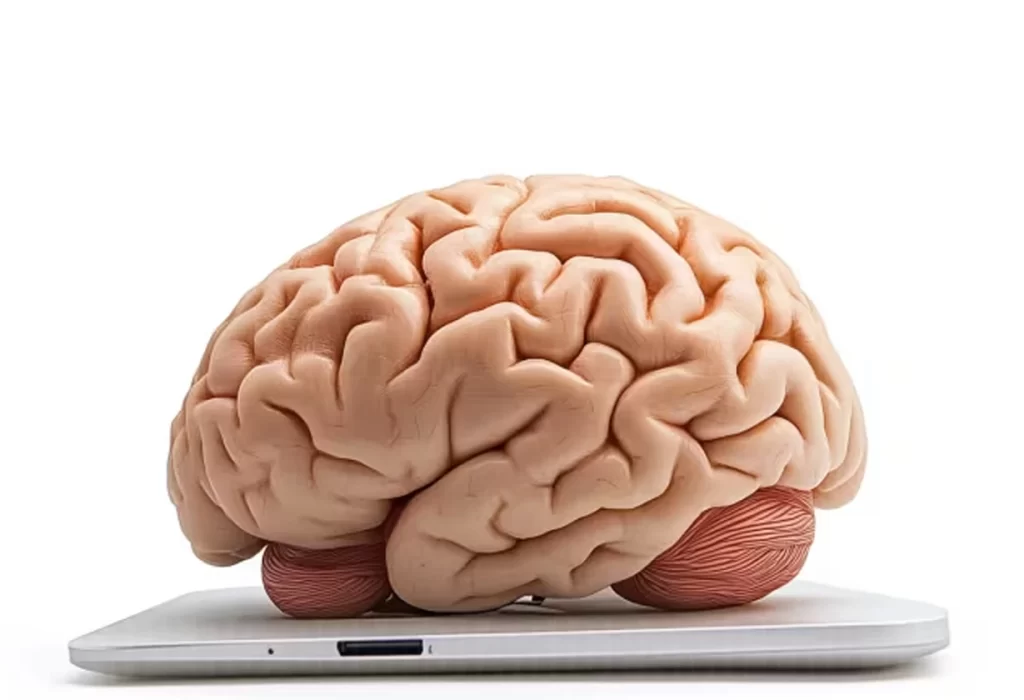 Descubren el «reinicio» del cerebro durante el sueño