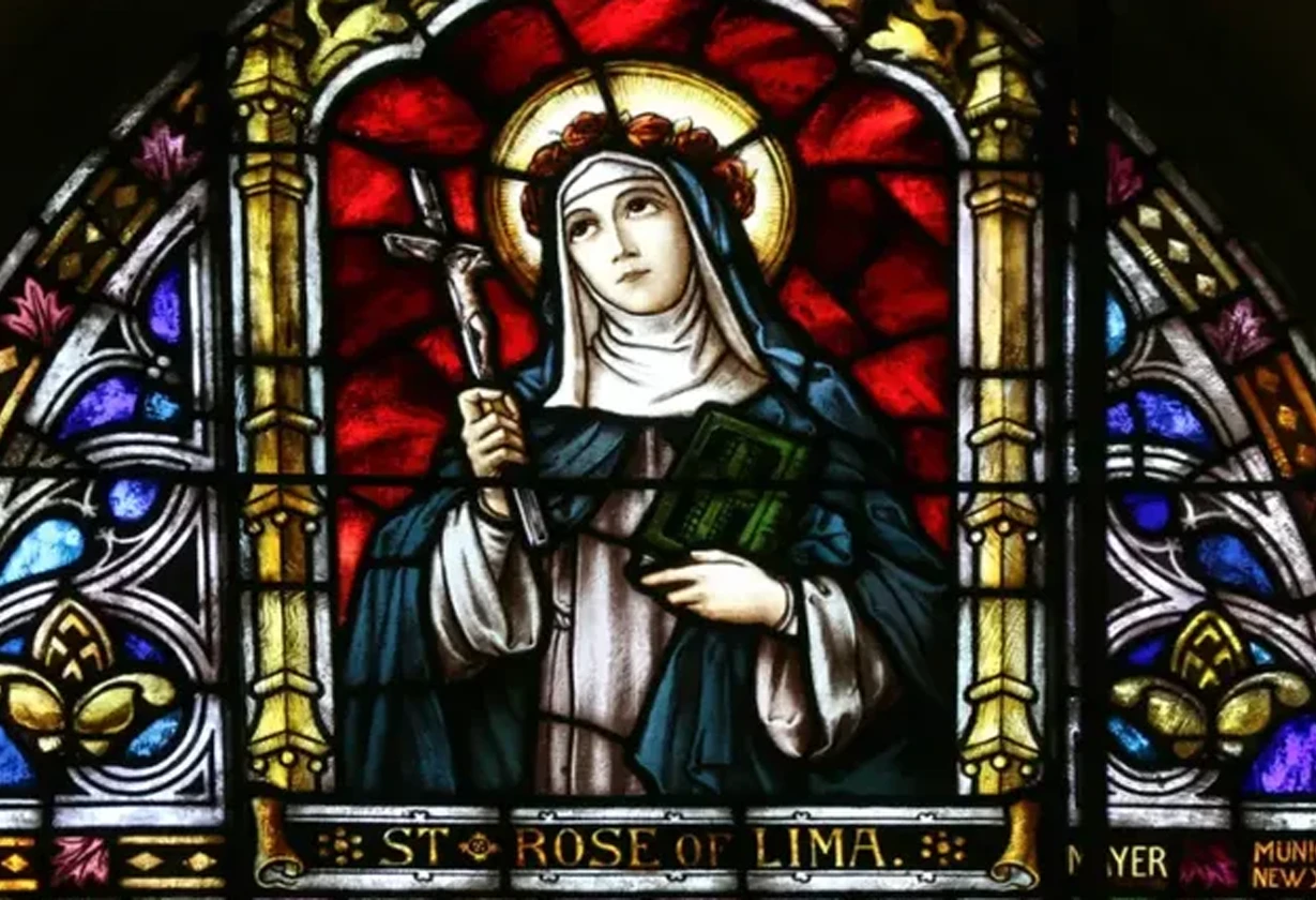 rosa