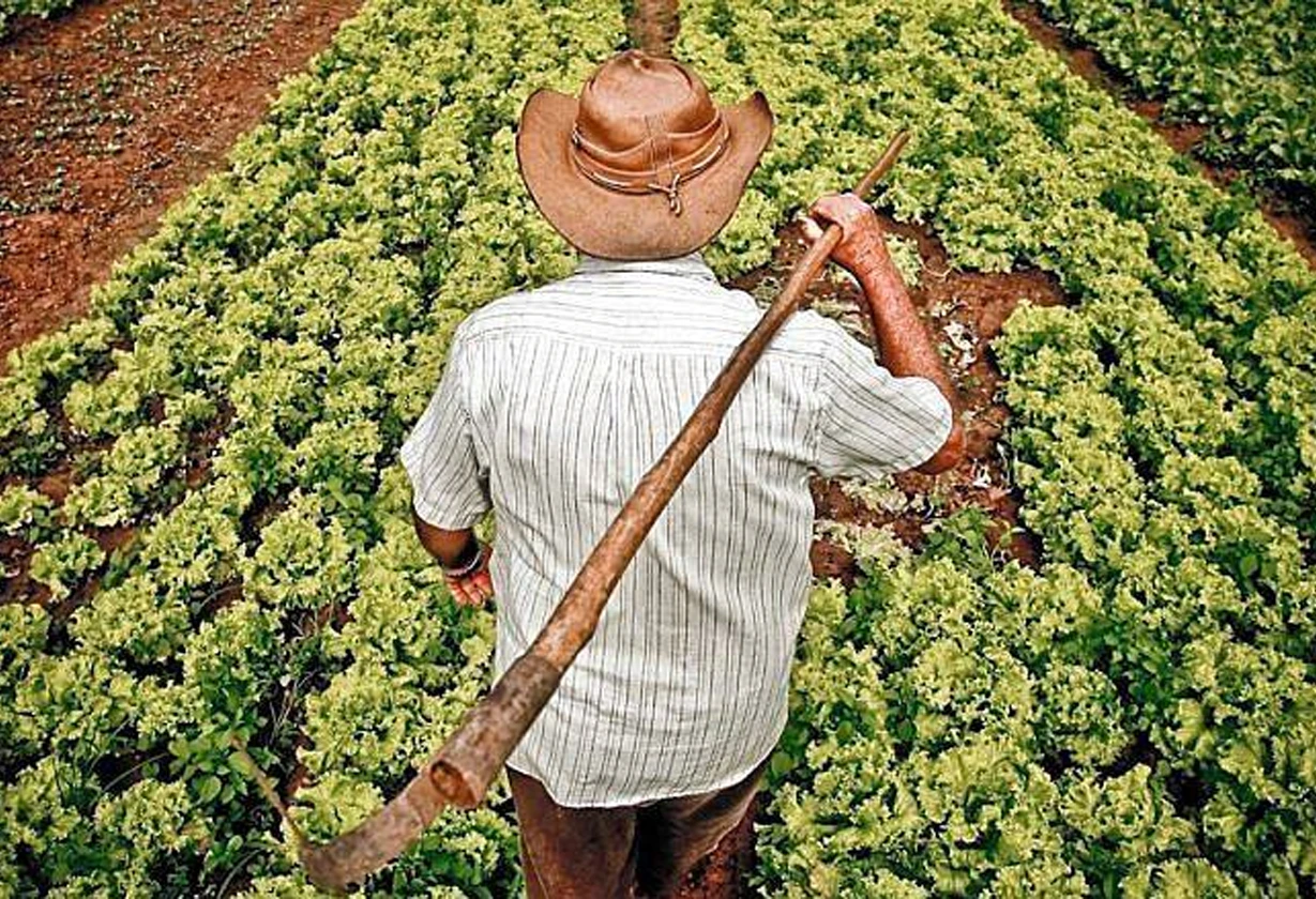 agricultura