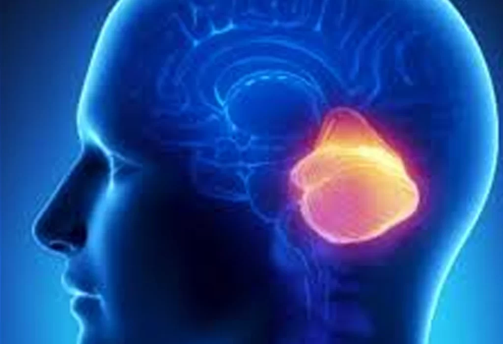 Día Mundial de la Ataxia: una Enfermedad que Afecta a 1 de Cada 50 Mil Personas