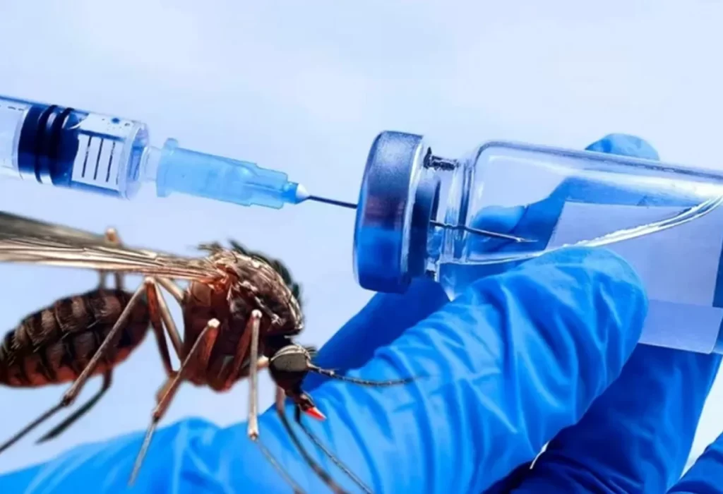 El 80% de las obras sociales no cubre la vacuna contra el dengue