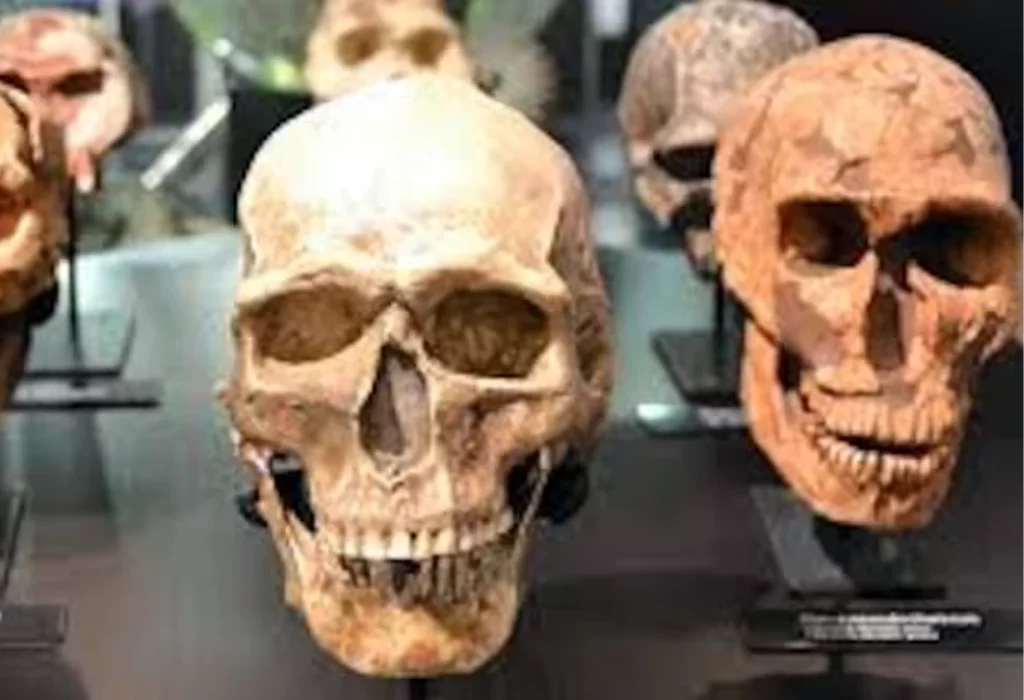 Científicos identifican una nueva especie humana extinta hace 200.000 años