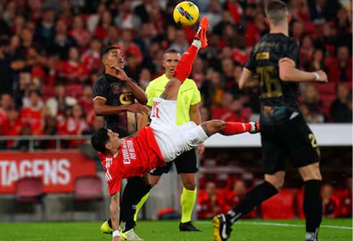 DIMARIA
