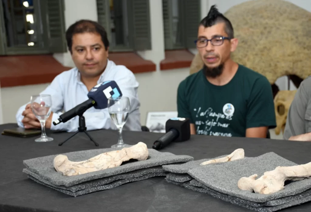 Restos fósiles de un oso perezoso hallados en La Pampa revelan nueva información sobre la fauna prehistórica de la región