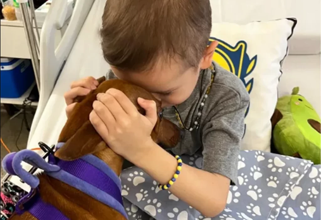 Rosario impulsa el ingreso de mascotas a hospitales con fines terapéuticos