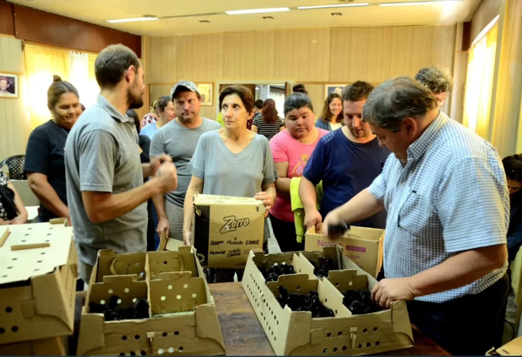Entregaron 525 ponedoras a familias y productores en Bernardo Larroudé