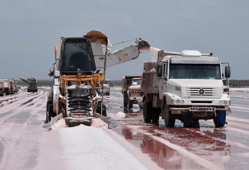 La cosecha de sal inicia en ocho salinas pampeanas: impulso laboral y turismo minero
