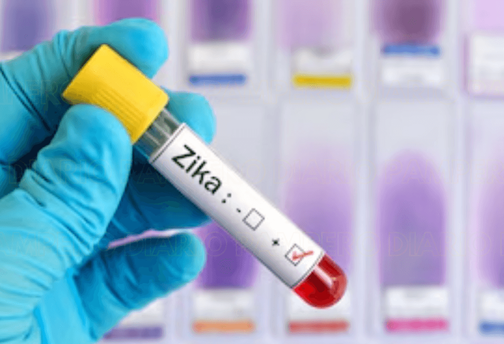 Descubren que el virus del zika altera el olor de la piel humana para atraer mosquitos