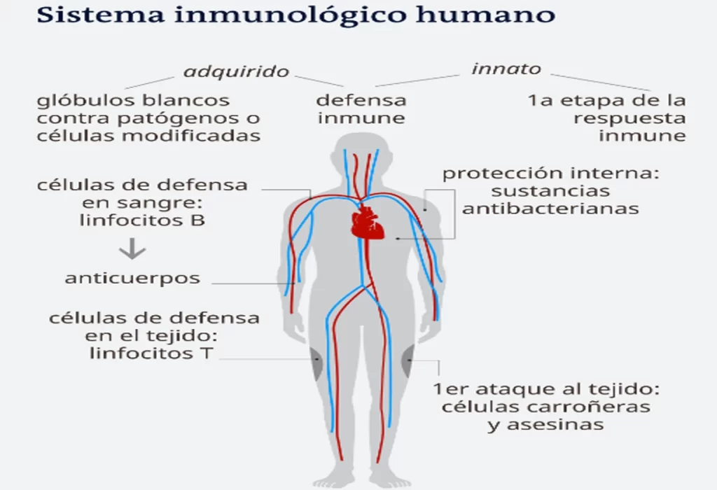 Mirar videos de personas enfermas potencia la respuesta inmune