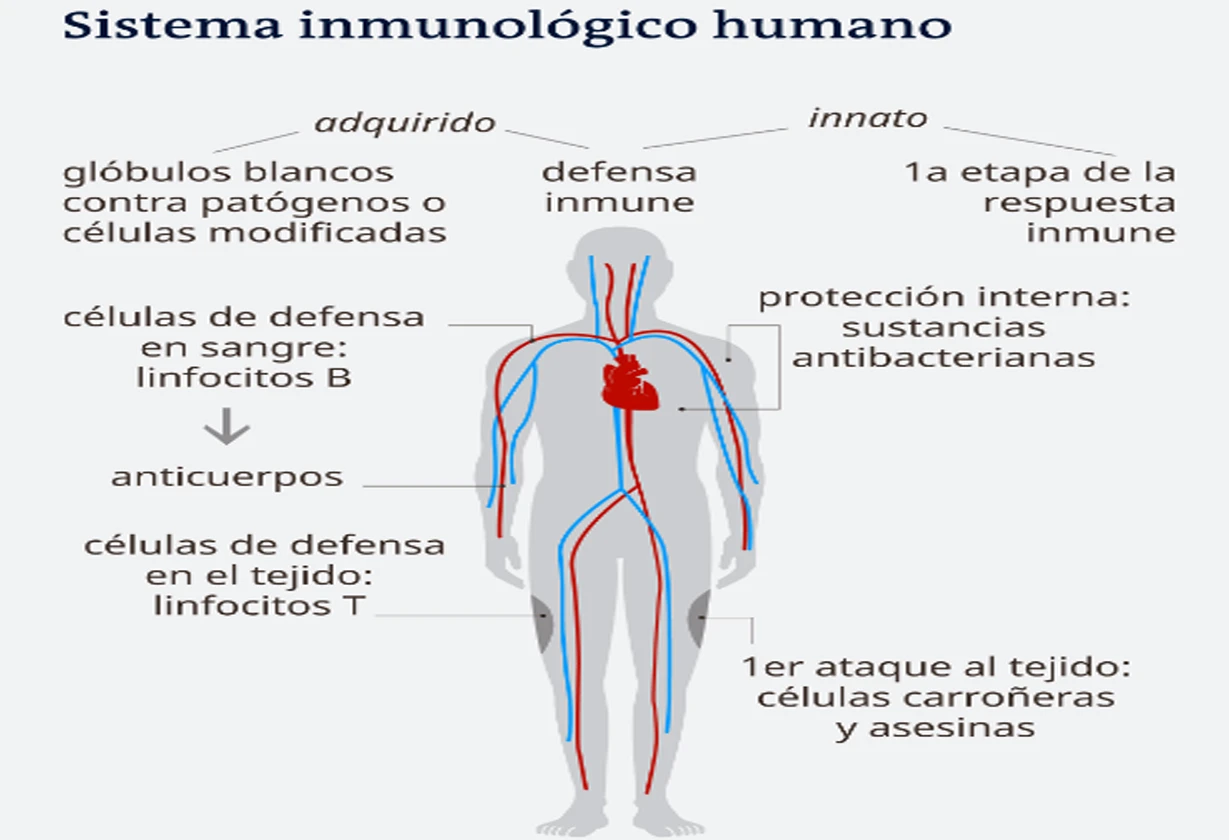 videos_enfermos