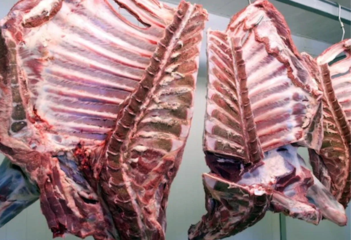 carne