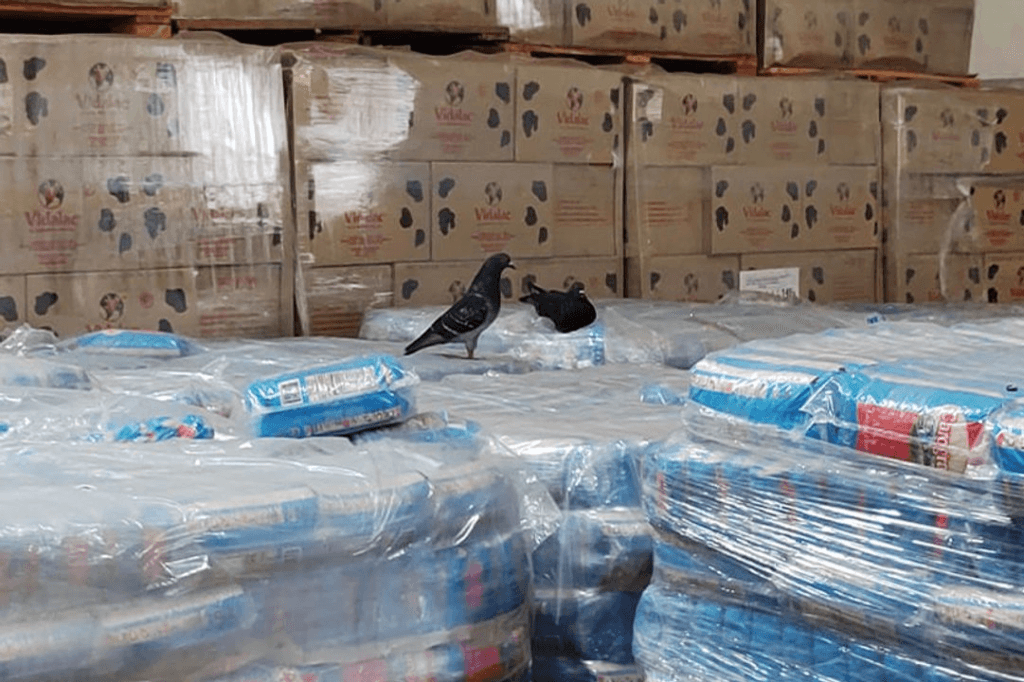 Amplían denuncia contra Pettovello por alimentos y útiles retenidos en Capital Humano