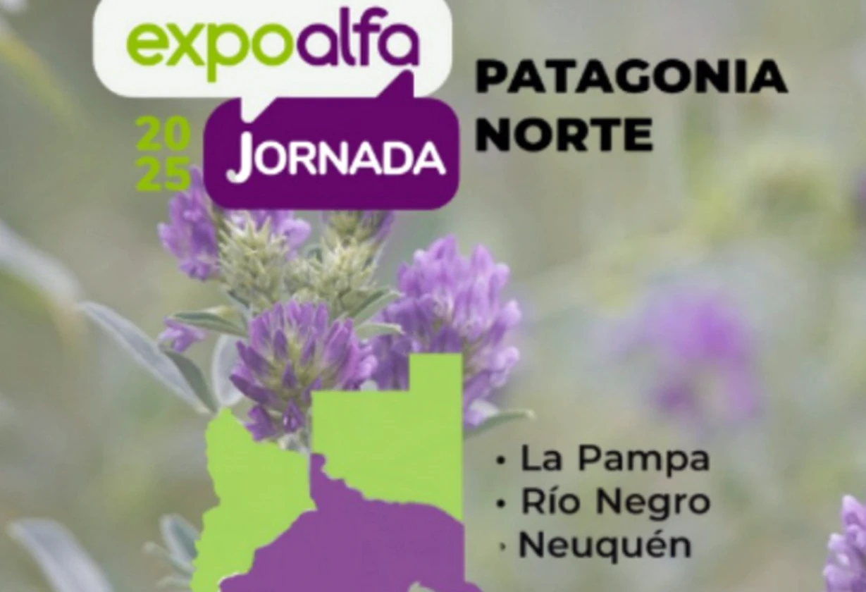 forrageria
