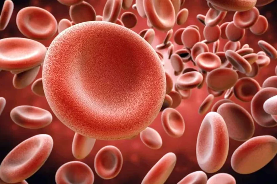 Testigos de Jehová habilitan donar y recibir sangre