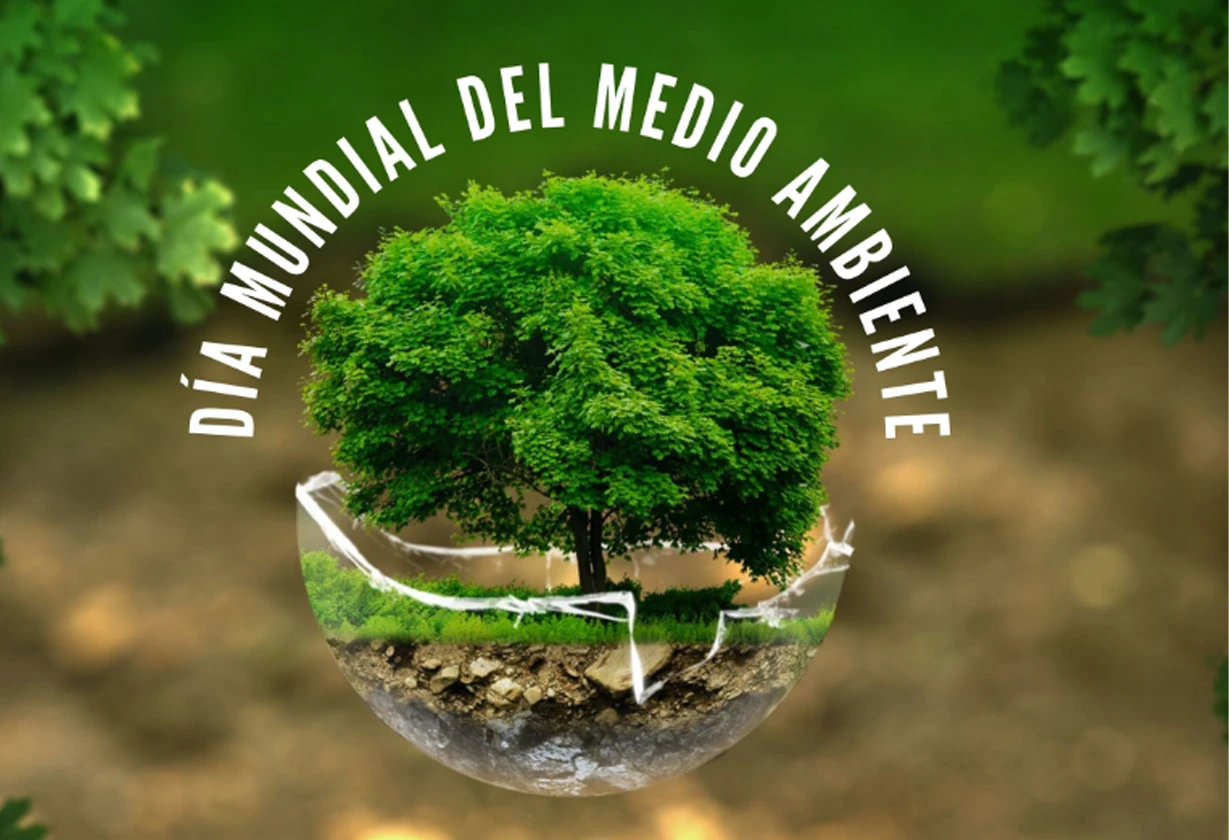 ambiente