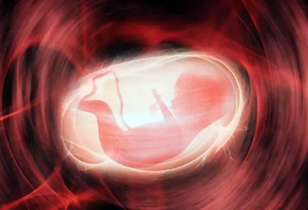 fertilidad