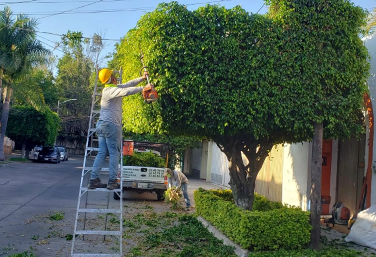 podado